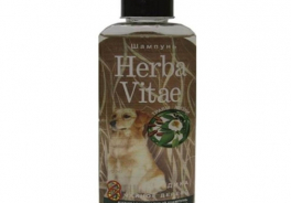Herba Vitae