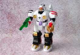 Shenzhen Toys