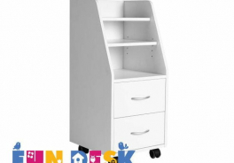 FUN DESK