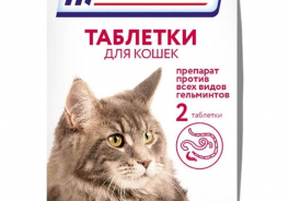 СКиФФ