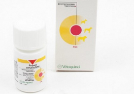 Vetoquinol