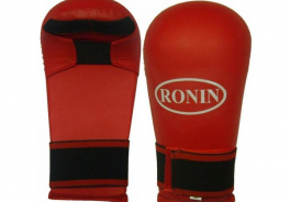 Ronin