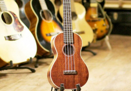 Sigma Guitars
