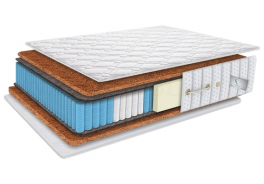 OrthoSleep