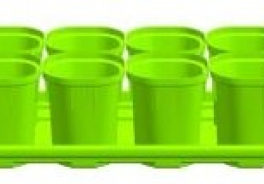 InGreen