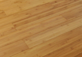 Bamboo Flooring