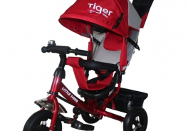 Little Tiger