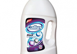 Gallus