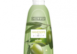 Gallus