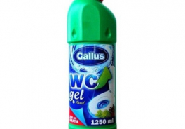 Gallus