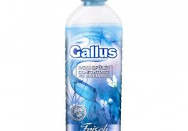 Gallus