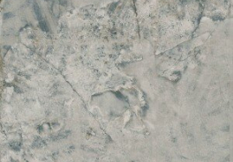 Atlantic Tiles