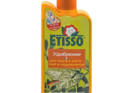 ETISSO