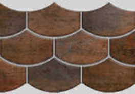 Apavisa