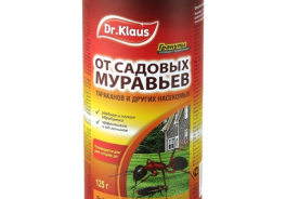 DR. KLAUS