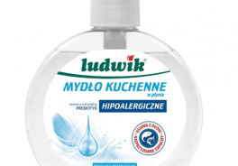 LUDWIK