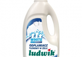 LUDWIK
