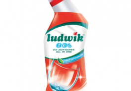 LUDWIK