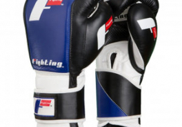 Fighting Sports