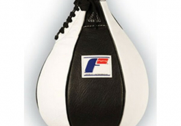 Fighting Sports