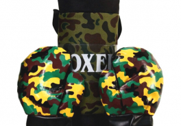 Boxer