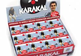 Karakal