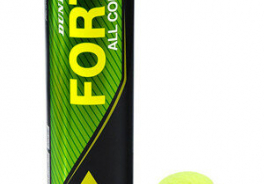 Dunlop