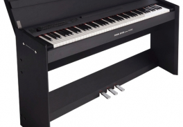 PEARL RIVER avec KORG