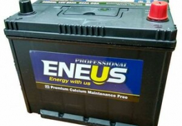 ENEUS