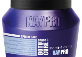 KayPro