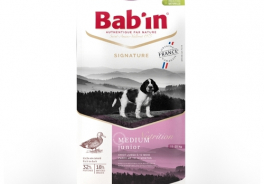 Bab'in