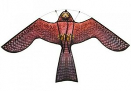 BIRD-X