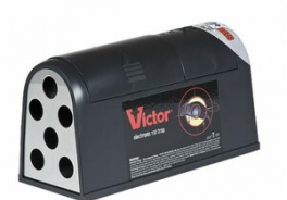 Victor