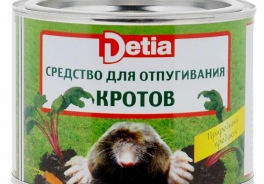 Detia Freyberg Gmbh