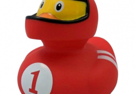 FUNNY DUCKS