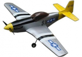 CY Model