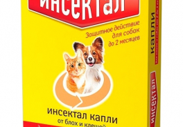 Инсектал
