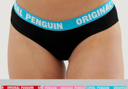Penguin