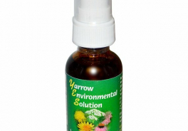Flower Essence Services