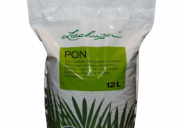Lechuza