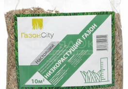 ГазонCity