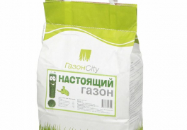 ГазонCity