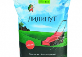 Зеленый ковер