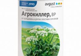 avgust