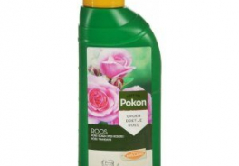 Pokon