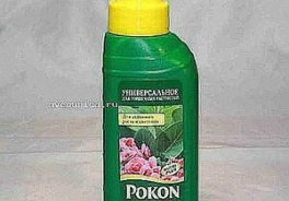 Pokon