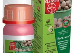Bayer Garden