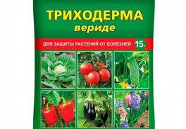 Ваше хозяйство