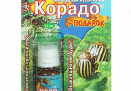 Ваше хозяйство