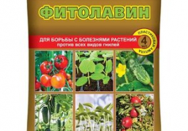Ваше хозяйство